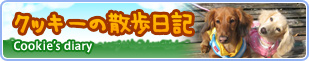 クッキーの散歩日記 Cookie's diary