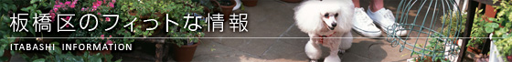 板橋区のフィっトな情報