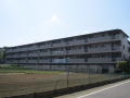 コスモ成増ガーデンステイツの詳細