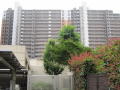 ※※※マンションの詳細