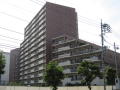 グローリオ志村ハウスの詳細