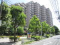 ※※※マンションの詳細