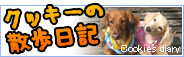 クッキーの散歩日記