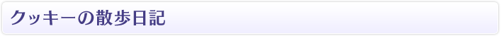 クッキーの散歩日記