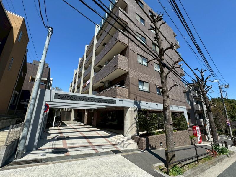 ドラゴンマンション赤塚公園壱番館の詳細