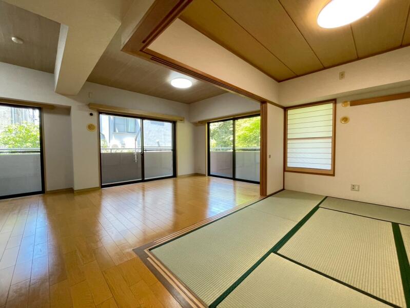 ドラゴンマンション赤塚公園壱番館の詳細