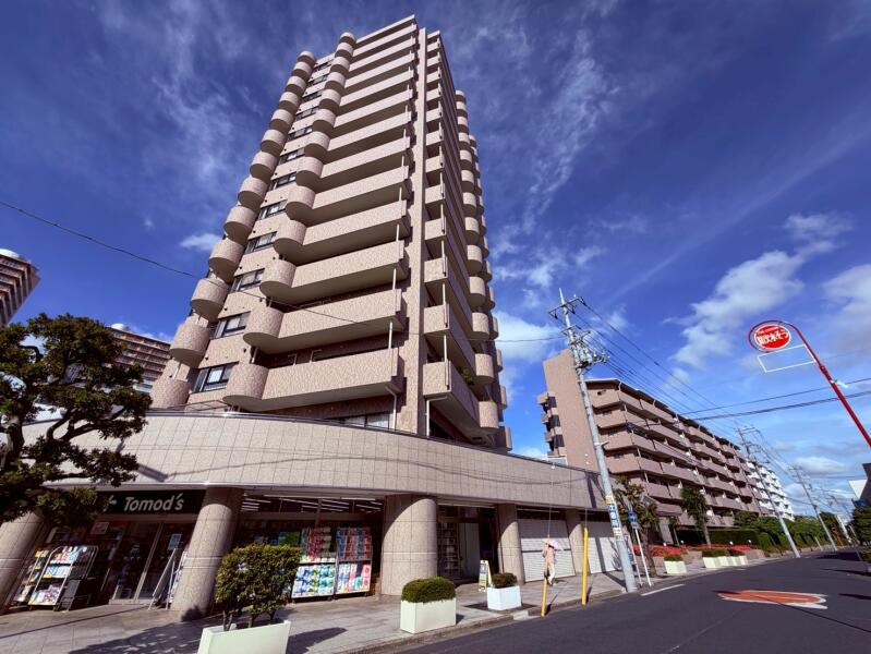 西武小手指ハイツS棟の詳細