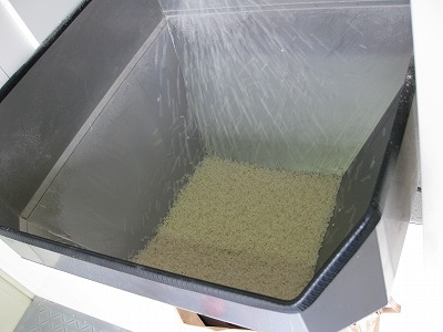 img_0356 img_0356