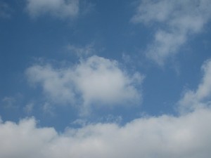 img_0520 img_0520