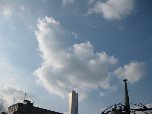 img_0521 img_0521