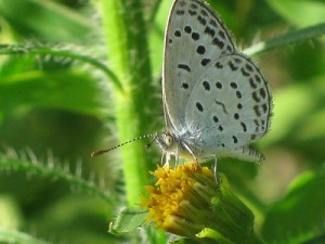 img_0527 img_0527