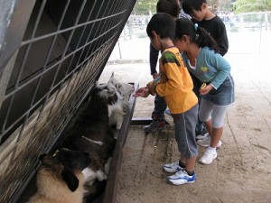 img_0583 img_0583