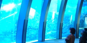 20091007142043 20091007142043