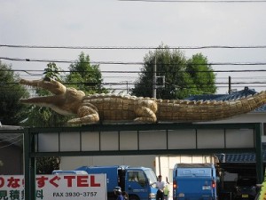 img_0727 img_0727