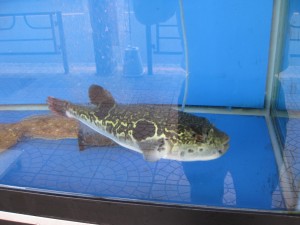 img_0764 img_0764