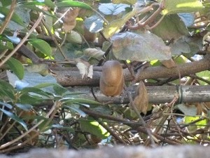 img_1008 img_1008