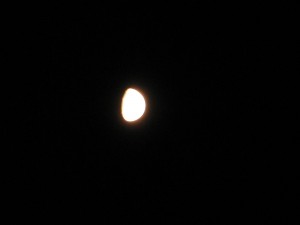 img_10161 img_10161