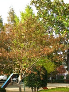 img_1049 img_1049