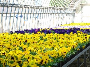 img_1025 img_1025