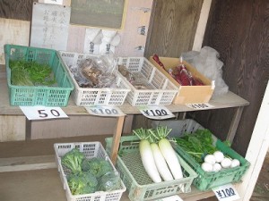 img_1106 img_1106