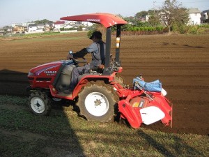 img_11251 img_11251