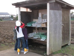 img_1134 img_1134