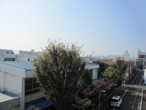 img_0489 img_0489