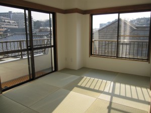 img_0800 img_0800