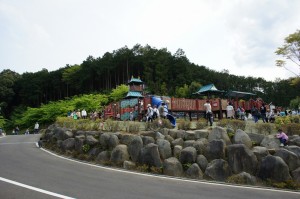 120 120