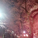2018040601